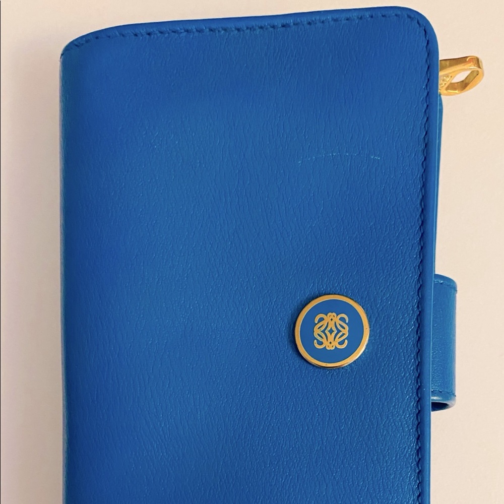 STUNNING LOEWE AQUA WALLET MANY SLOTS AND POUCHES